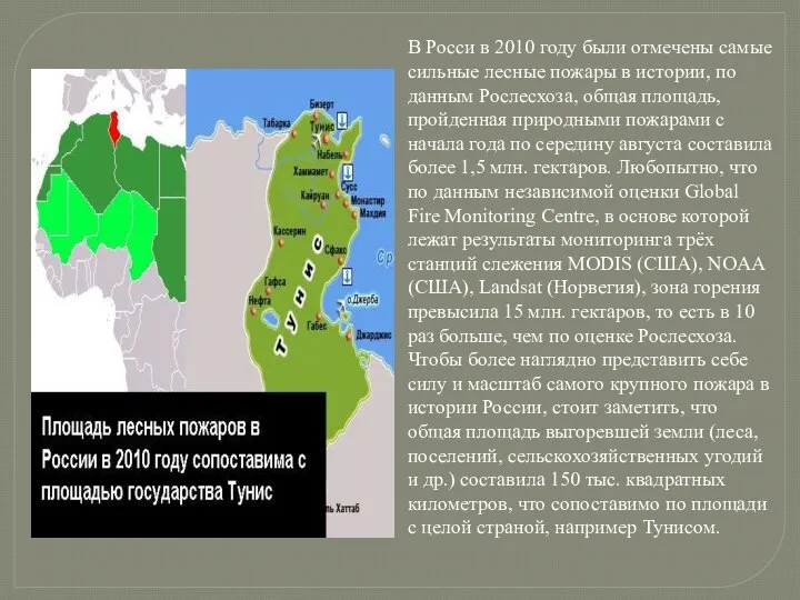 В Росси в 2010 году были отмечены самые сильные лесные пожары