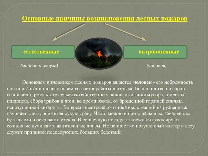 естественные антропогенные (человек) (молния и засуха) Основным виновником лесных пожаров является