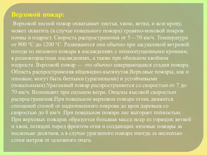 Верховой пожар: Верховой лесной пожар охватывает листья, хвою, ветви, и всю