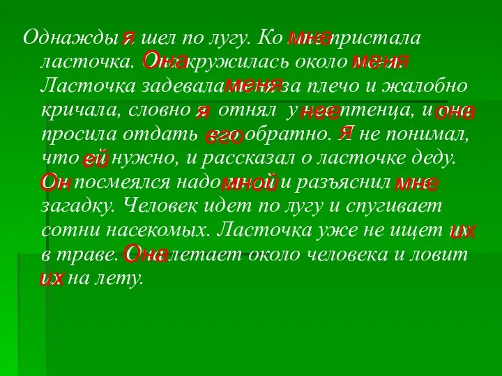 Однажды я шел по лугу. Ко мне пристала ласточка. Она кружилась