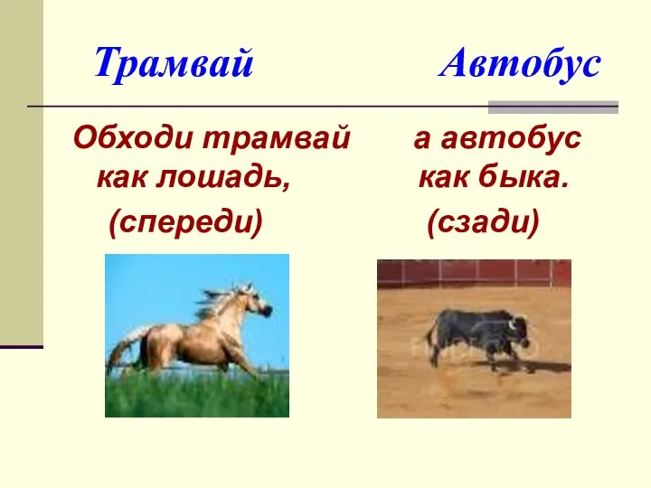 Трамвай Автобус Обходи трамвай а автобус как лошадь, как быка. (спереди) (сзади)