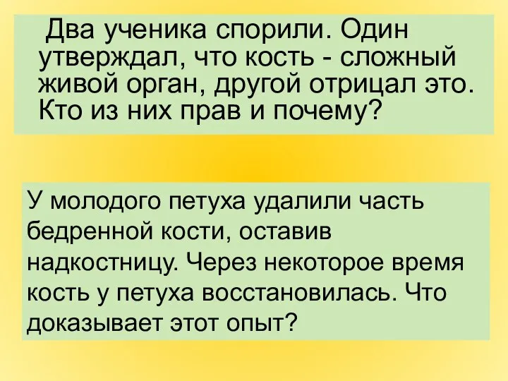 Два ученика спорили. Один утверждал, что кость - сложный живой орган,