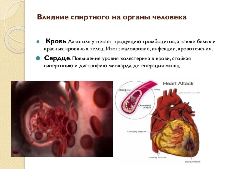 Влияние спиртного на органы человека Кровь. Алкоголь угнетает продукцию тромбоцитов, а