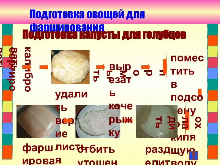 удалить верхние листья вырезать кочерыжку сортировать калибровать Подготовка капусты для голубцов