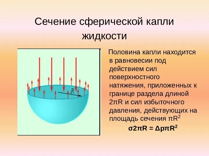 Сечение сферической капли жидкости Половина капли находится в равновесии под действием