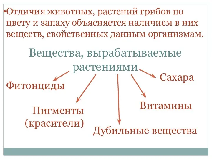 Отличия животных, растений грибов по цвету и запаху объясняется наличием в