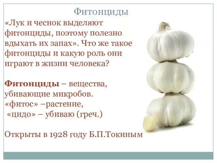 Фитонциды «Лук и чеснок выделяют фитонциды, поэтому полезно вдыхать их запах».