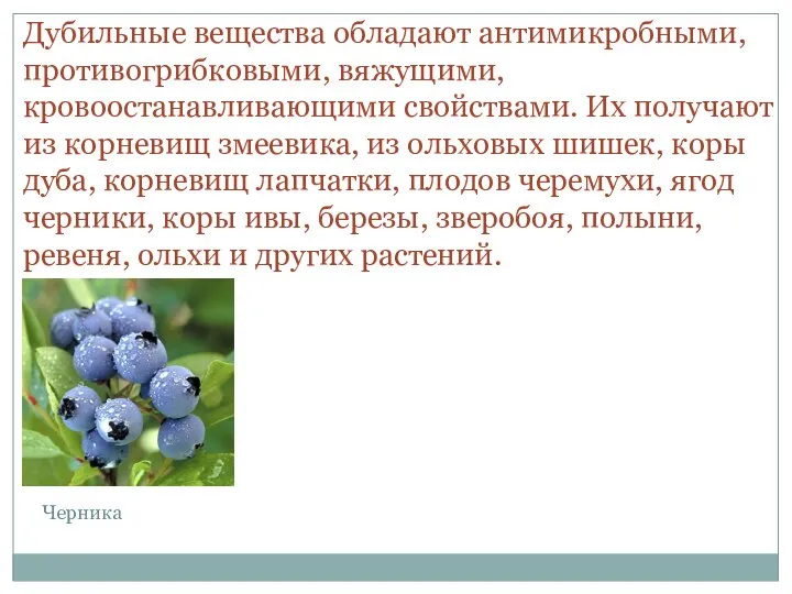 Дубильные вещества обладают антимикробными, противогрибковыми, вяжущими, кровоостанавливающими свойствами. Их получают из