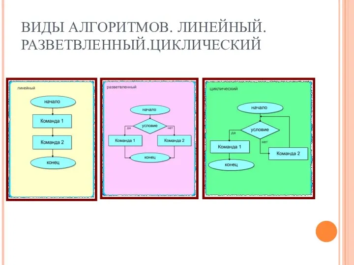 ВИДЫ АЛГОРИТМОВ. ЛИНЕЙНЫЙ.РАЗВЕТВЛЕННЫЙ.ЦИКЛИЧЕСКИЙ