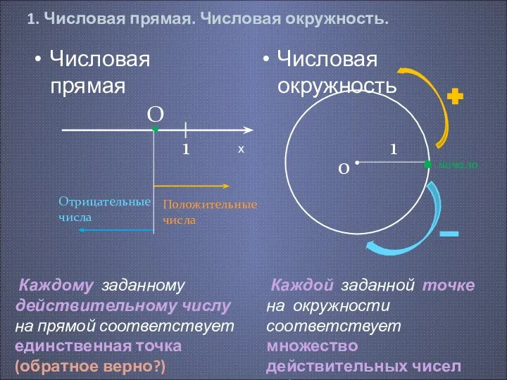 1. Числовая прямая. Числовая окружность. Числовая окружность Числовая прямая Положительные числа