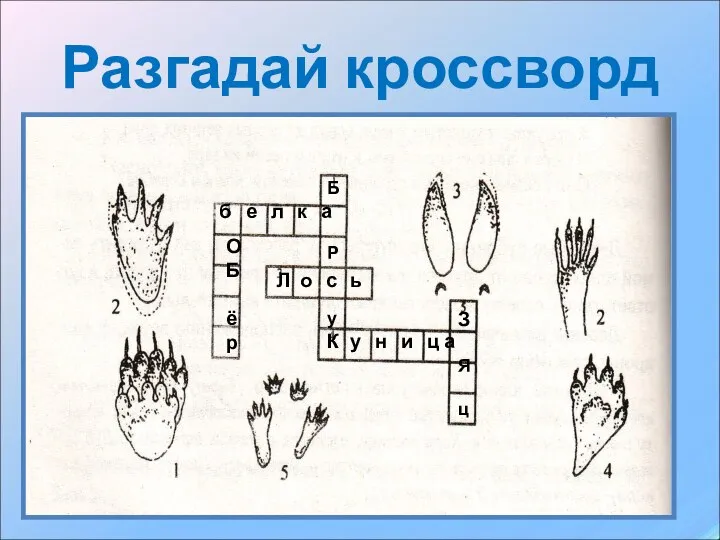 Разгадай кроссворд б е л к а Л о с ь