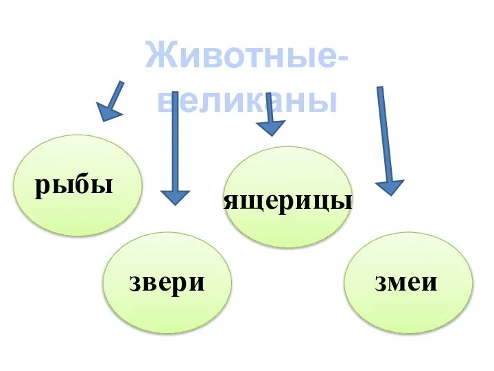 Животные-великаны рыбы звери ящерицы змеи