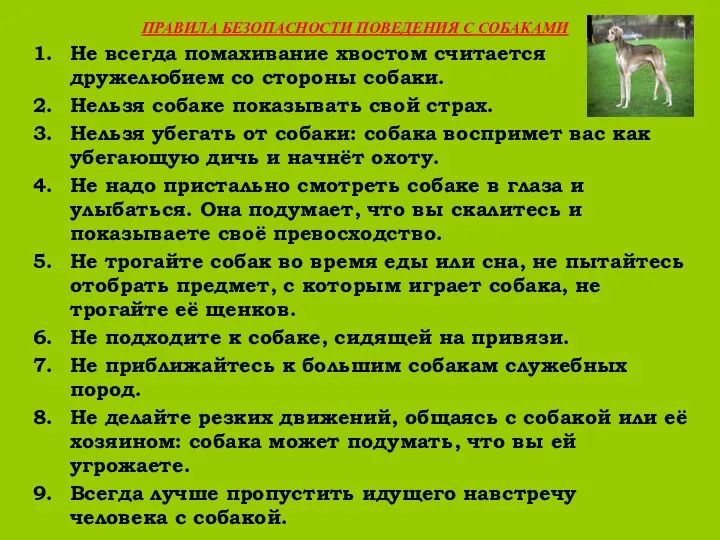 ПРАВИЛА БЕЗОПАСНОСТИ ПОВЕДЕНИЯ С СОБАКАМИ Не всегда помахивание хвостом считается дружелюбием