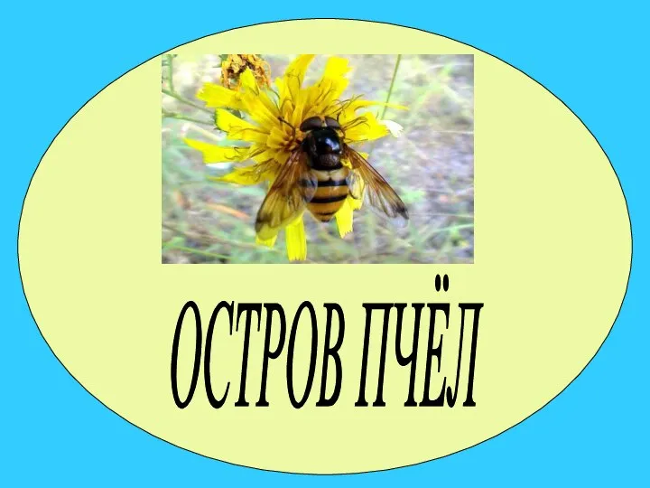 ОСТРОВ ПЧЁЛ