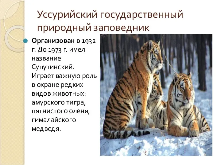 Уссурийский государственный природный заповедник Организован в 1932 г. До 1973 г.