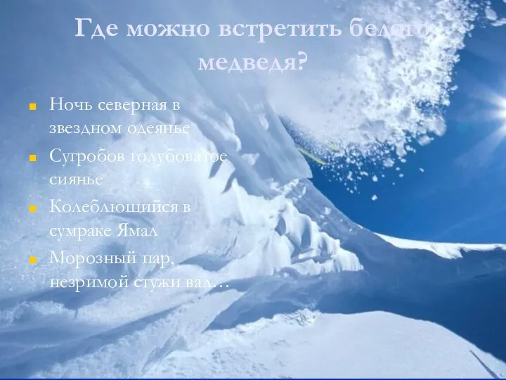 Где можно встретить белого медведя? Ночь северная в звездном одеянье Сугробов