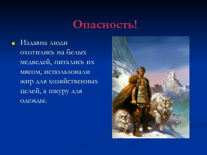 Опасность! Издавна люди охотились на белых медведей, питались их мясом, использовали