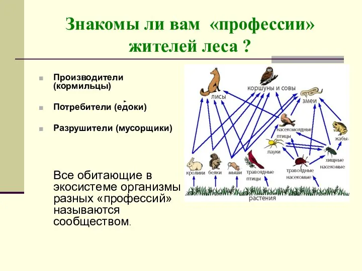 Знакомы ли вам «профессии» жителей леса ? Производители (кормильцы) Потребители (едоки)