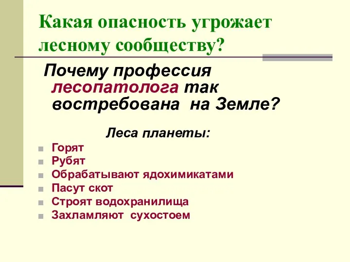 Какая опасность угрожает лесному сообществу? Почему профессия лесопатолога так востребована на