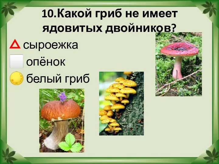 10.Какой гриб не имеет ядовитых двойников? △ сыроежка ⬜ опёнок ? белый гриб