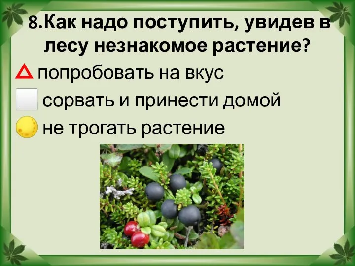 8.Как надо поступить, увидев в лесу незнакомое растение? △ попробовать на