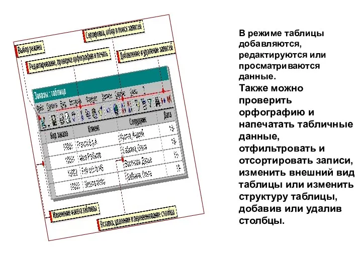 В режиме таблицы добавляются, редактируются или просматриваются данные. Также можно проверить