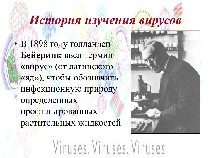 История изучения вирусов В 1898 году голландец Бейеринк ввел термин «вирус»