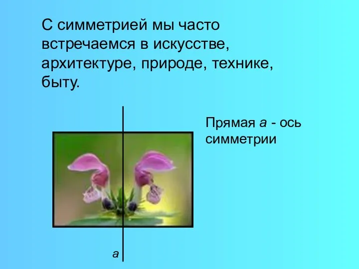 а Прямая а - ось симметрии С симметрией мы часто встречаемся