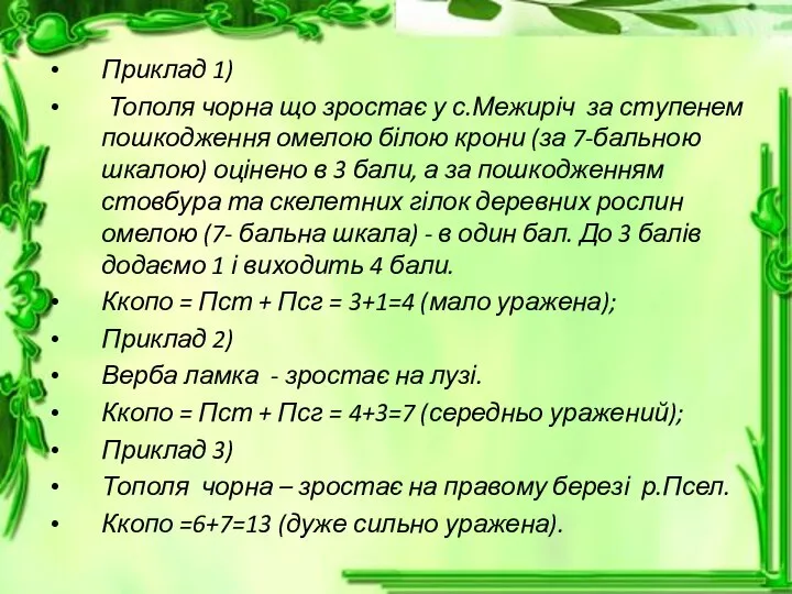 Приклад 1) Тополя чорна що зростає у с.Межиріч за ступенем пошкодження