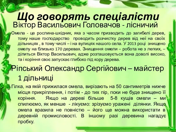 Що говорять спеціалісти Віктор Васильович Головачов - лісничий Омела - це