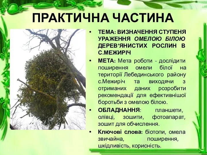 ПРАКТИЧНА ЧАСТИНА ТЕМА: ВИЗНАЧЕННЯ СТУПЕНЯ УРАЖЕННЯ ОМЕЛОЮ БІЛОЮ ДЕРЕВ’ЯНИСТИХ РОСЛИН В