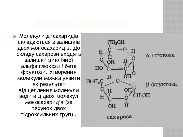 БУДОВА МОЛЕКУЛИ Молекули дисахаридів складаються з залишків двох моносахаридів. До складу