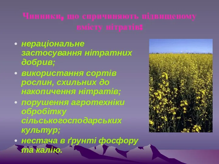 Чинники, що спричиняють підвищеному вмісту нітратів: нераціональне застосування нітратних добрив; використання