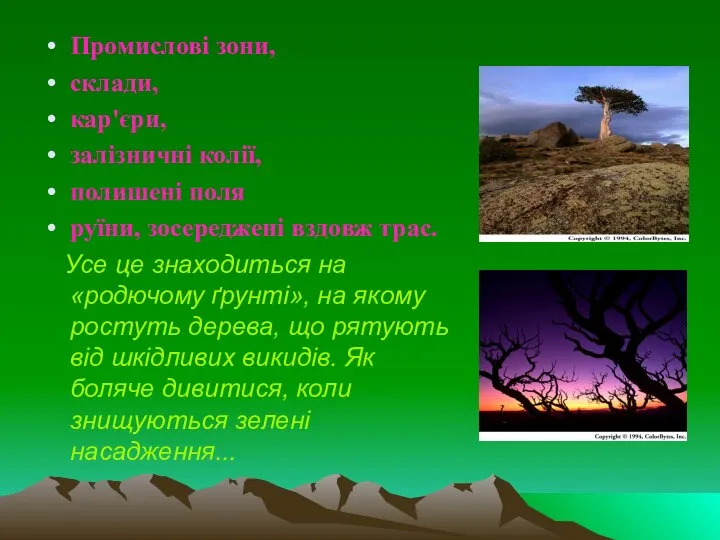 Промислові зони, склади, кар'єри, залізничні колії, полишені поля руїни, зосереджені вздовж