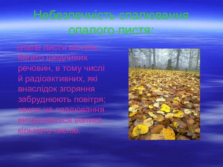 Небезпечність спалювання опалого листя: опале листя містить багато шкідливих речовин, в