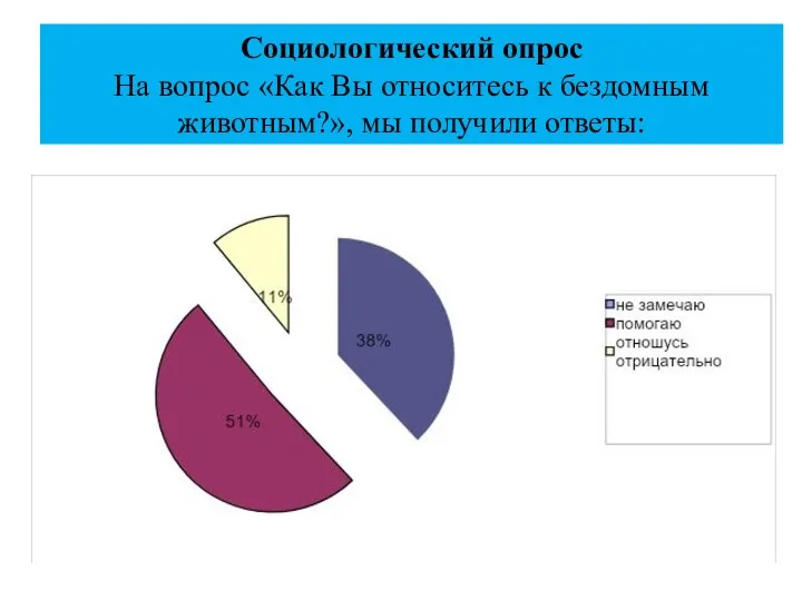 Социологический опрос На вопрос «Как Вы относитесь к бездомным животным?», мы получили ответы: