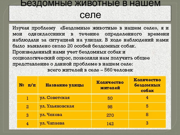 Бездомные животные в нашем селе Изучая проблему «Бездомные животные в нашем