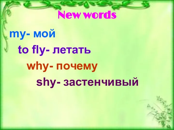 New words my- мой to fly- летать why- почему shy- застенчивый