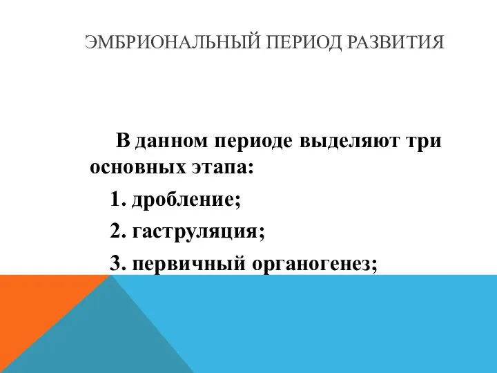 ЭМБРИОНАЛЬНЫЙ ПЕРИОД РАЗВИТИЯ В данном периоде выделяют три основных этапа: 1.