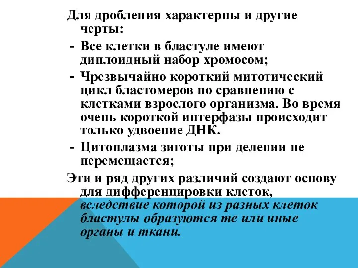 Для дробления характерны и другие черты: Все клетки в бластуле имеют