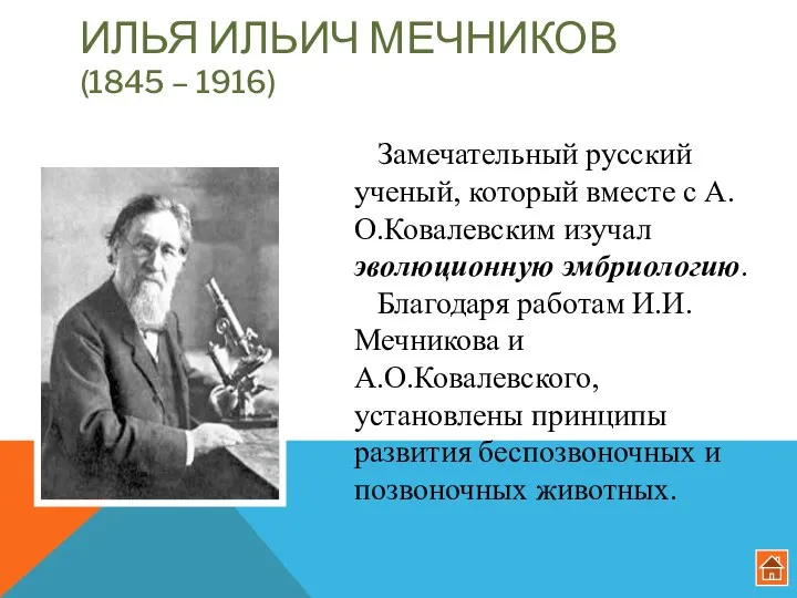 ИЛЬЯ ИЛЬИЧ МЕЧНИКОВ (1845 – 1916) Замечательный русский ученый, который вместе