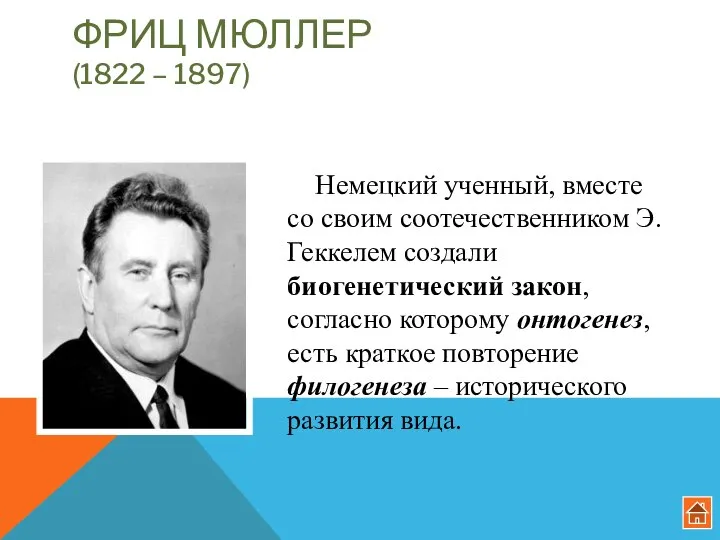 ФРИЦ МЮЛЛЕР (1822 – 1897) Немецкий ученный, вместе со своим соотечественником