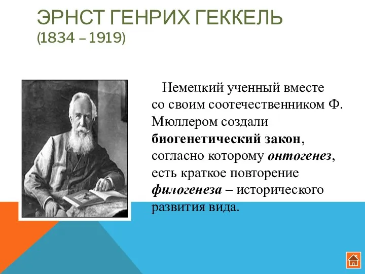 ЭРНСТ ГЕНРИХ ГЕККЕЛЬ (1834 – 1919) Немецкий ученный вместе со своим