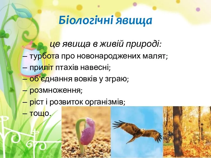 Біологічні явища це явища в живій природі: турбота про новонароджених малят;