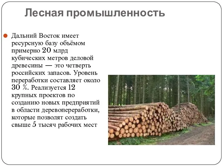 Лесная промышленность Дальний Восток имеет ресурсную базу объёмом примерно 20 млрд