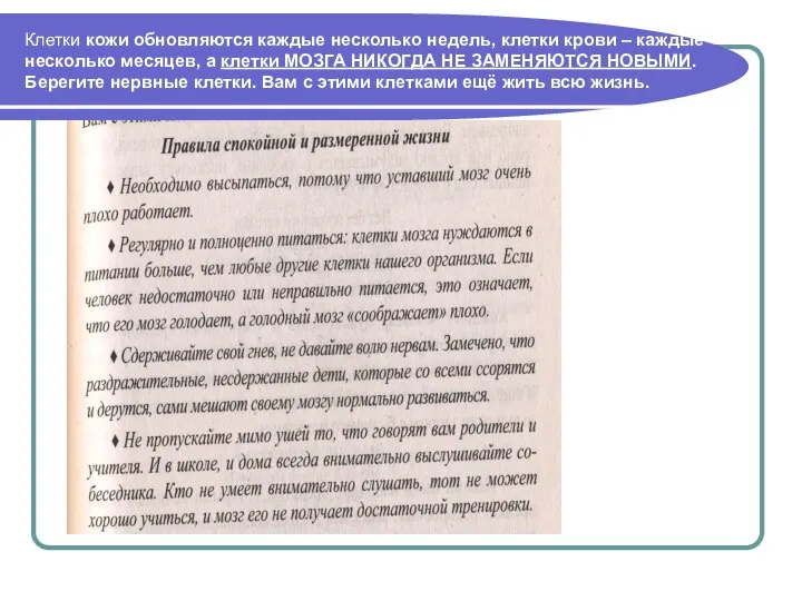 Клетки кожи обновляются каждые несколько недель, клетки крови – каждые несколько