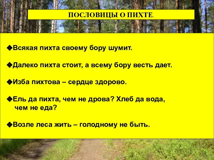 ПОСЛОВИЦЫ О ПИХТЕ. ПОСЛОВИЦЫ О ПИХТЕ. Всякая пихта своему бору шумит.