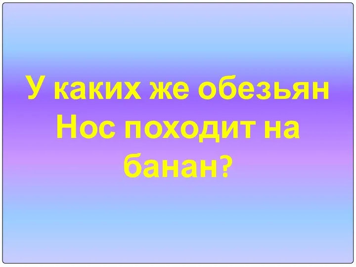 У каких же обезьян Нос походит на банан?