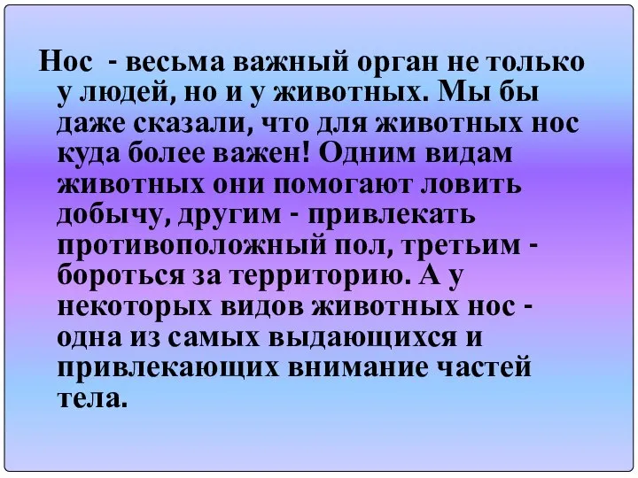 Нос - весьма важный орган не только у людей, но и