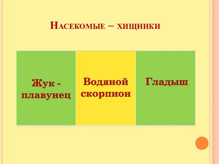 Насекомые – хищники